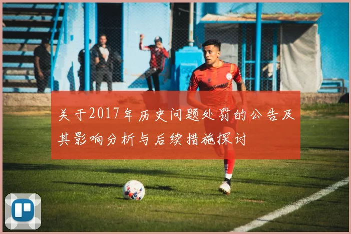 关于2017年历史问题处罚的公告及其影响分析与后续措施探讨