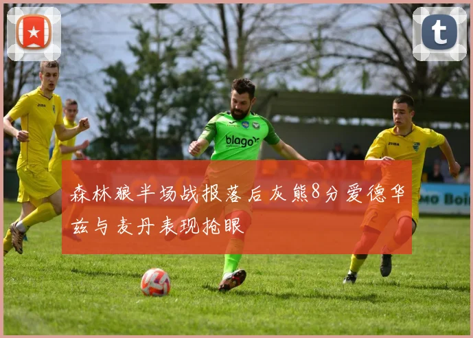 森林狼半场战报落后灰熊8分爱德华兹与麦丹表现抢眼