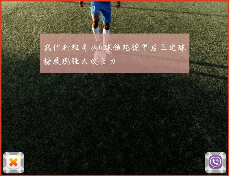武什科维奇以6球领跑德甲后卫进球榜展现强大攻击力