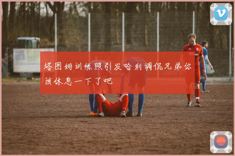 塔图姆训练照引发哈利调侃兄弟你该休息一下了吧